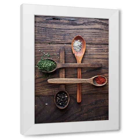 Spices White Modern Wood Framed Art Print by Karina, Aleksandrova