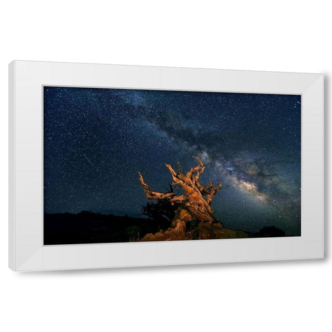 The Galaxy And Ancient Bristlecone Pine White Modern Wood Framed Art Print by Hua
