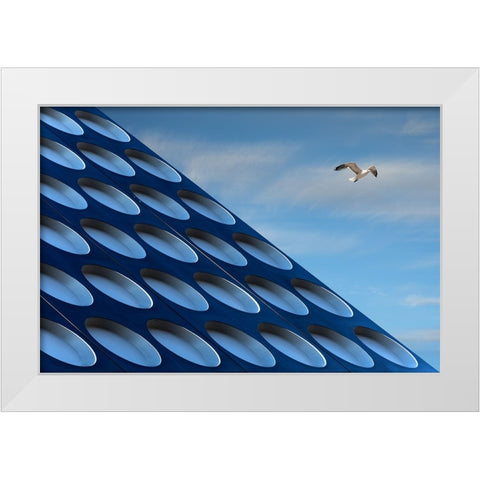 The Seagull White Modern Wood Framed Art Print by van Maastricht, Henk
