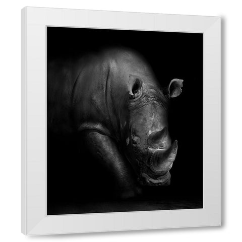 Rhino White Modern Wood Framed Art Print by Wildphotoart