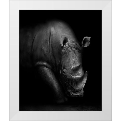 Rhino White Modern Wood Framed Art Print by Wildphotoart