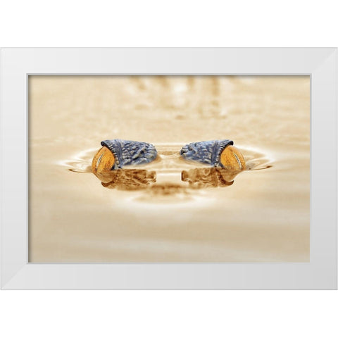 Crocodile - The Gold Eye White Modern Wood Framed Art Print by Priyadi, Andri