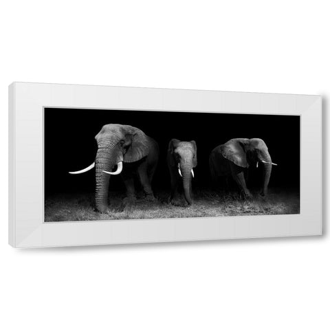 Out Of The Darkness White Modern Wood Framed Art Print by Wildphotoart