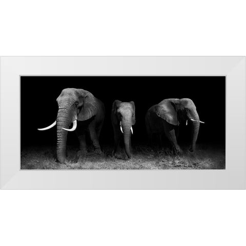 Out Of The Darkness White Modern Wood Framed Art Print by Wildphotoart