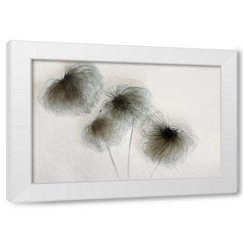 Clematis White Modern Wood Framed Art Print by Talen, Nel