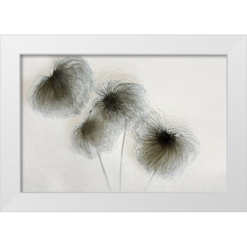 Clematis White Modern Wood Framed Art Print by Talen, Nel