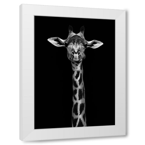 Giraffe Portrait White Modern Wood Framed Art Print by WildPhotoArt
