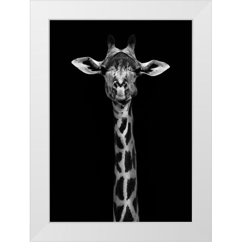 Giraffe Portrait White Modern Wood Framed Art Print by WildPhotoArt