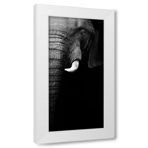 Elephant Portrait White Modern Wood Framed Art Print by Wildphotoart