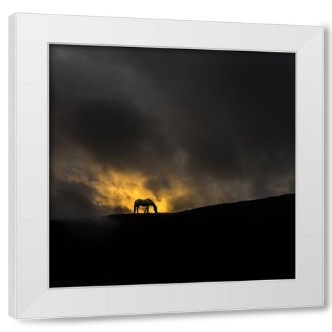 Untitled White Modern Wood Framed Art Print by Tanev, Todor