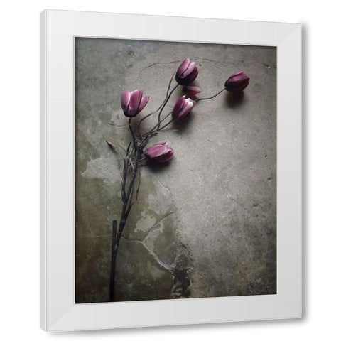 The Elegant Tulip White Modern Wood Framed Art Print by Lagaa, Kahar