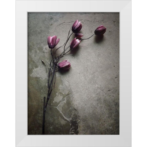 The Elegant Tulip White Modern Wood Framed Art Print by Lagaa, Kahar