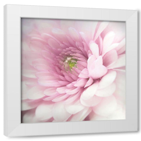 Pink White Modern Wood Framed Art Print by Riahy, Benyamin