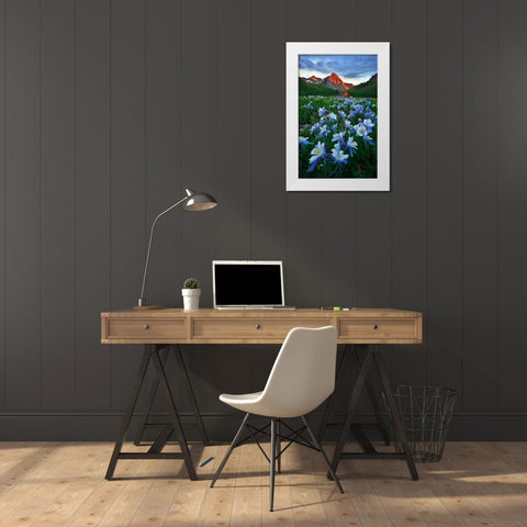 Blue Columbine Paradise White Modern Wood Framed Art Print by Xu, Mei