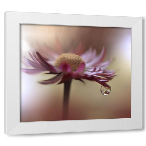 Tears Of Time.. White Modern Wood Framed Art Print by Nan, Juliana