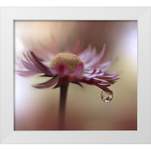Tears Of Time.. White Modern Wood Framed Art Print by Nan, Juliana