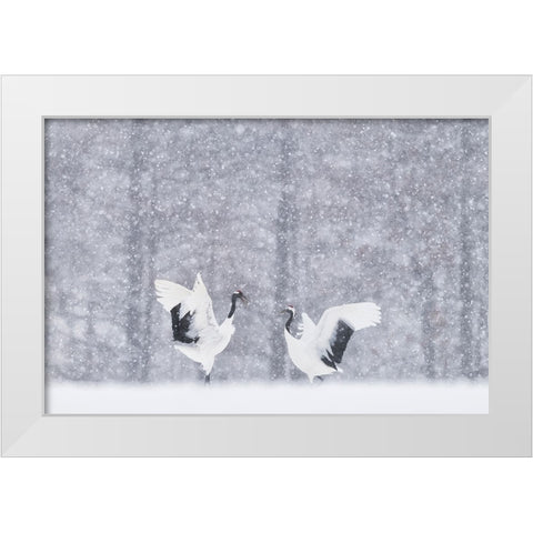 Japanese Cranes White Modern Wood Framed Art Print by Marchegiani, Roberto