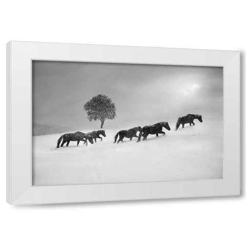 Untitled White Modern Wood Framed Art Print by Tanev, Todor