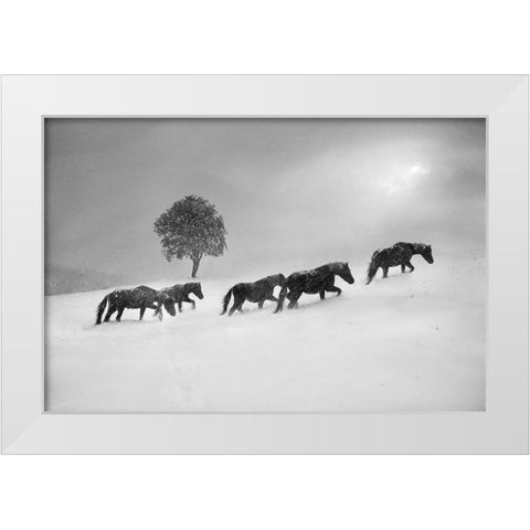 Untitled White Modern Wood Framed Art Print by Tanev, Todor
