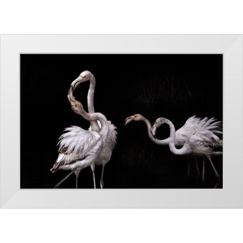 Tango And Flamingos White Modern Wood Framed Art Print by Benezech, Martine