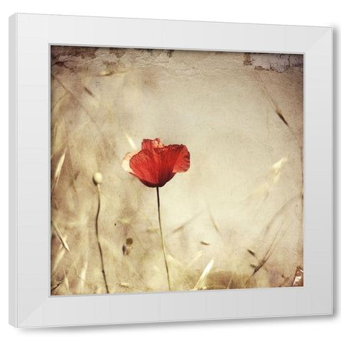 Alone White Modern Wood Framed Art Print by Ignatova, Desislava