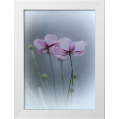 Purple Delight White Modern Wood Framed Art Print by Bamboo, Purple