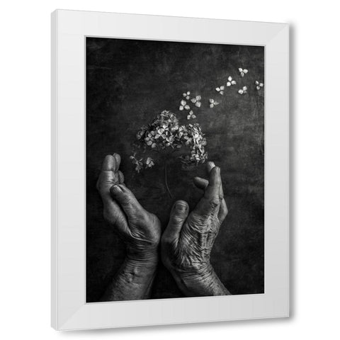 Tempus Fugit White Modern Wood Framed Art Print by Clough, Stephen