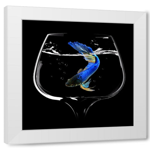 Betta Fish Dance White Modern Wood Framed Art Print by Bunjamin, Antonyus