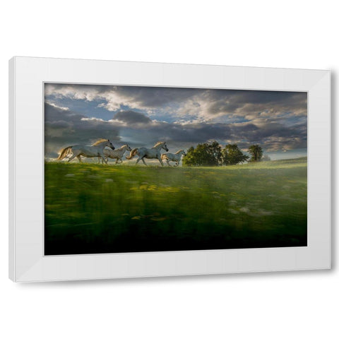 In The Morning Pink White Modern Wood Framed Art Print by Malovrh, Milan