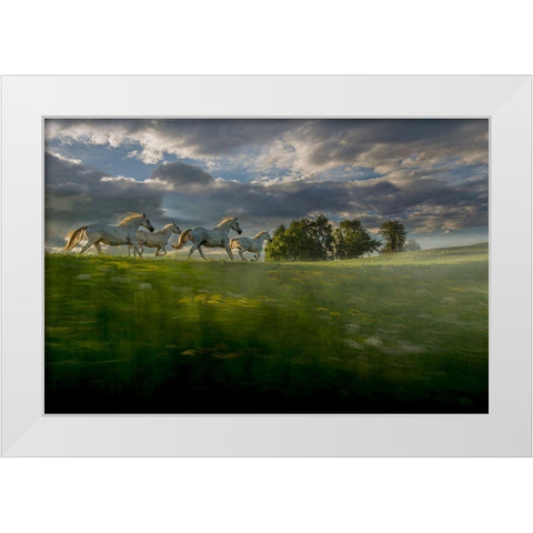 In The Morning Pink White Modern Wood Framed Art Print by Malovrh, Milan
