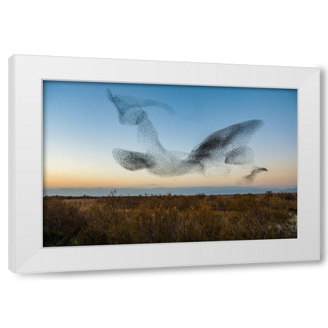 El Vuelo White Modern Wood Framed Art Print by Vilches, David