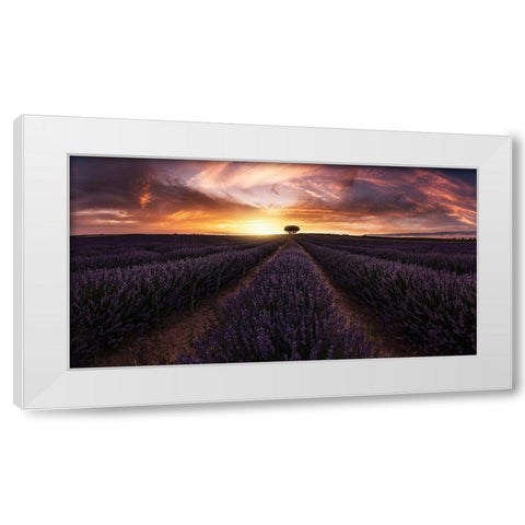 Lavender Sunset White Modern Wood Framed Art Print by Ruiz Dueso, Jorge