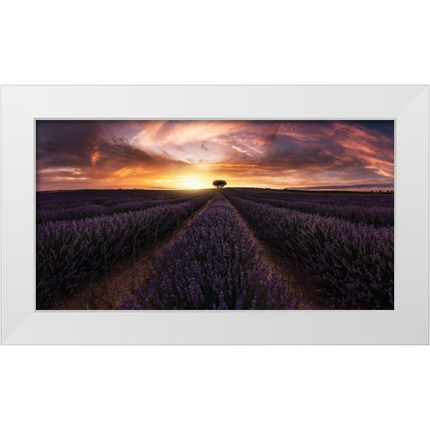 Lavender Sunset White Modern Wood Framed Art Print by Ruiz Dueso, Jorge