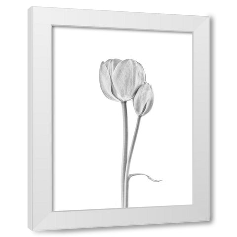 Connected White Modern Wood Framed Art Print by Gronkjar, Lotte