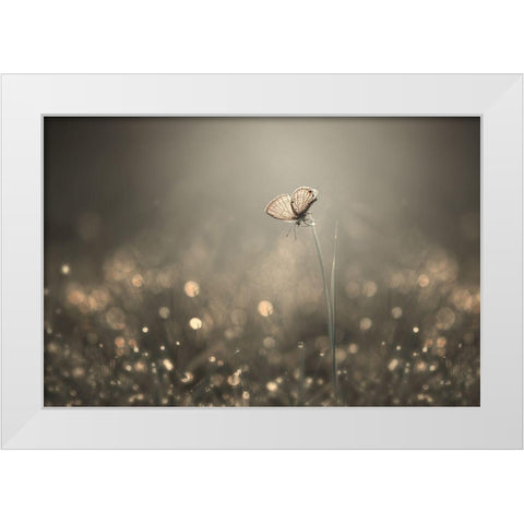Dream Light White Modern Wood Framed Art Print by Pamungkas, Edy