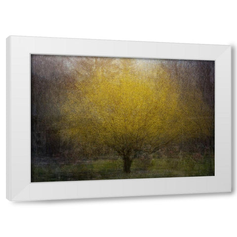 Town Square White Modern Wood Framed Art Print by Holmstrom, Katarina