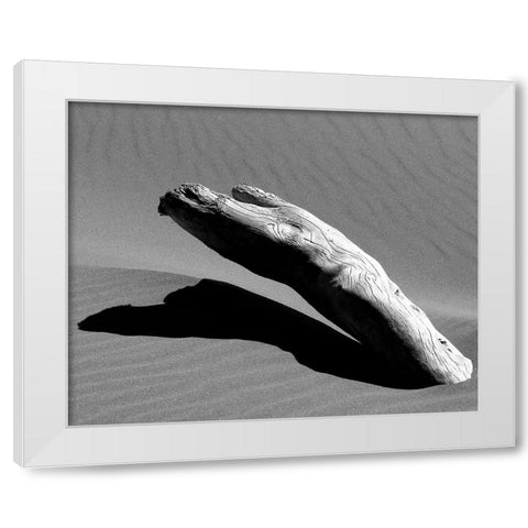 Ergo White Modern Wood Framed Art Print by Abramovici, Miron