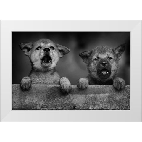 Aa White Modern Wood Framed Art Print by Mp, Hendy