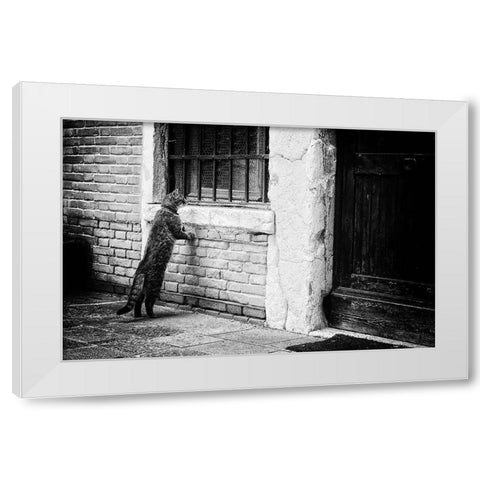 The Cat White Modern Wood Framed Art Print by Vegh, Izabella