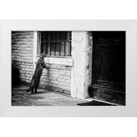 The Cat White Modern Wood Framed Art Print by Vegh, Izabella