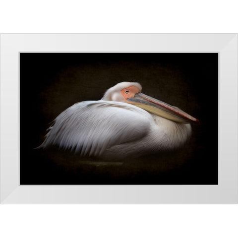 Half Asleep White Modern Wood Framed Art Print by Itoyama, Eiji