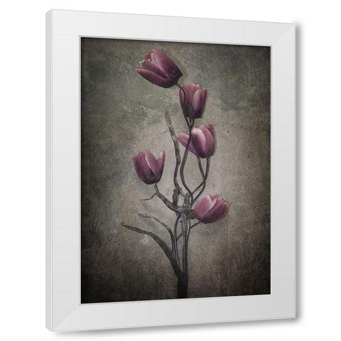 You Havent Seen The Last Of Me White Modern Wood Framed Art Print by Lagaa, Kahar