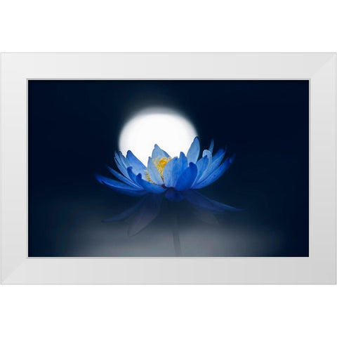 Fleeting Dream White Modern Wood Framed Art Print by Suzuki, Takashi