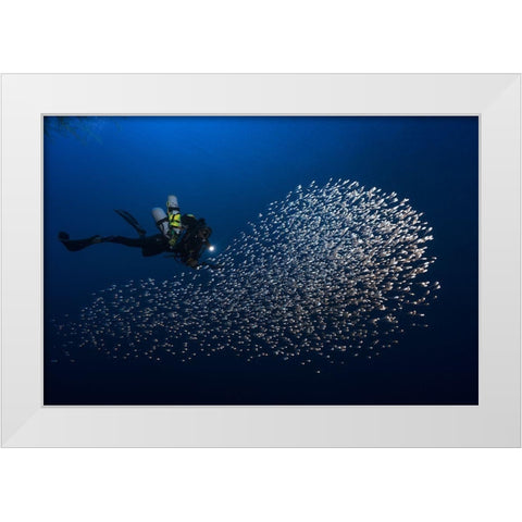 Alvin Shoal White Modern Wood Framed Art Print by Gabriel, Barathieu