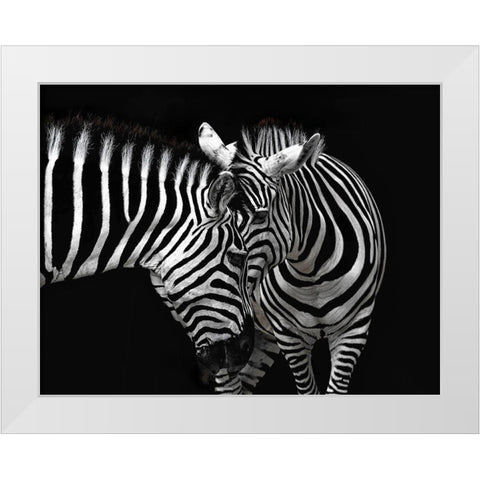 Conversation White Modern Wood Framed Art Print by Nitzschmann, Burghard