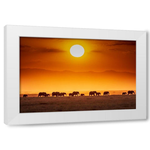 Sunrise Parade White Modern Wood Framed Art Print by C. Sink, Jeffrey