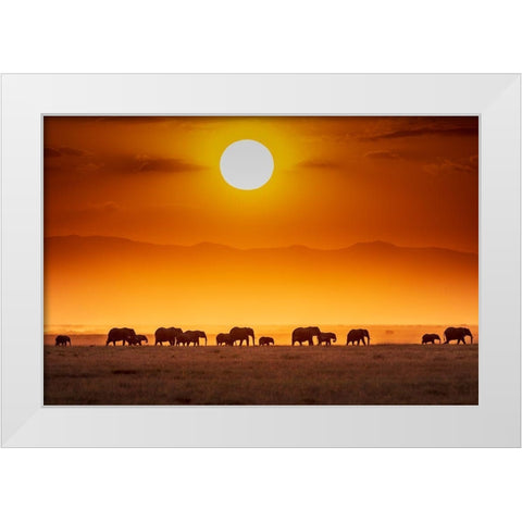 Sunrise Parade White Modern Wood Framed Art Print by C. Sink, Jeffrey