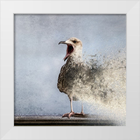Waterbird White Modern Wood Framed Art Print by Flour, Bruno