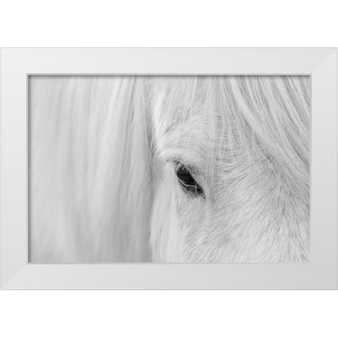 Whisper Of Iceland White Modern Wood Framed Art Print by Fan, John