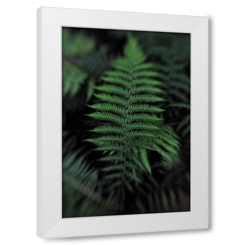 Soft Leaf White Modern Wood Framed Art Print by Walsh, Claire